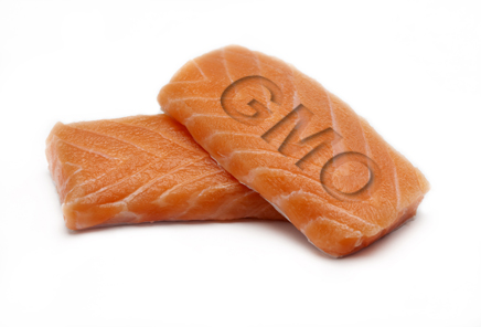 salmon-gmo-petition-page