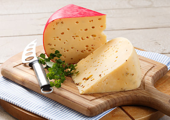 gouda-cheese