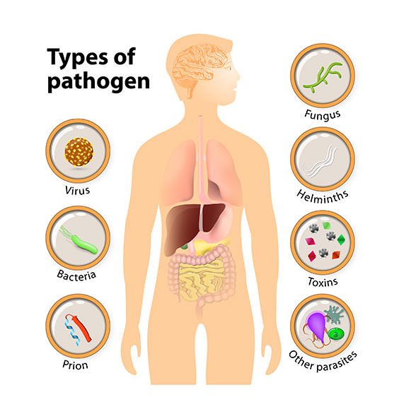 pathogen-types