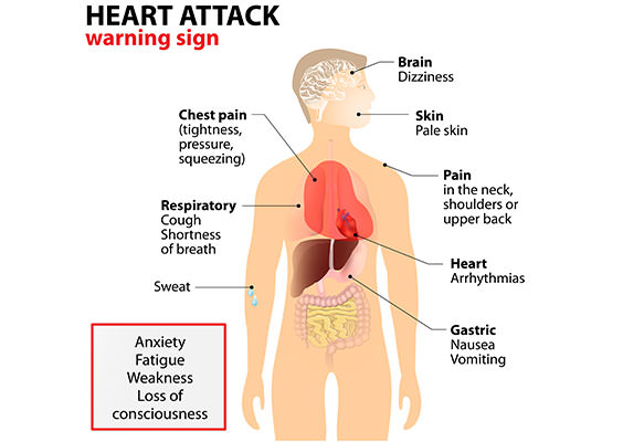 heart-attack-risk-calculator