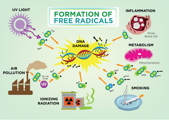 free-radicals-formation